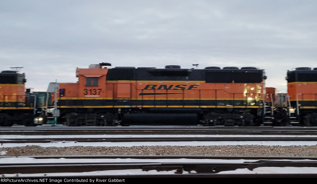 BNSF 3137